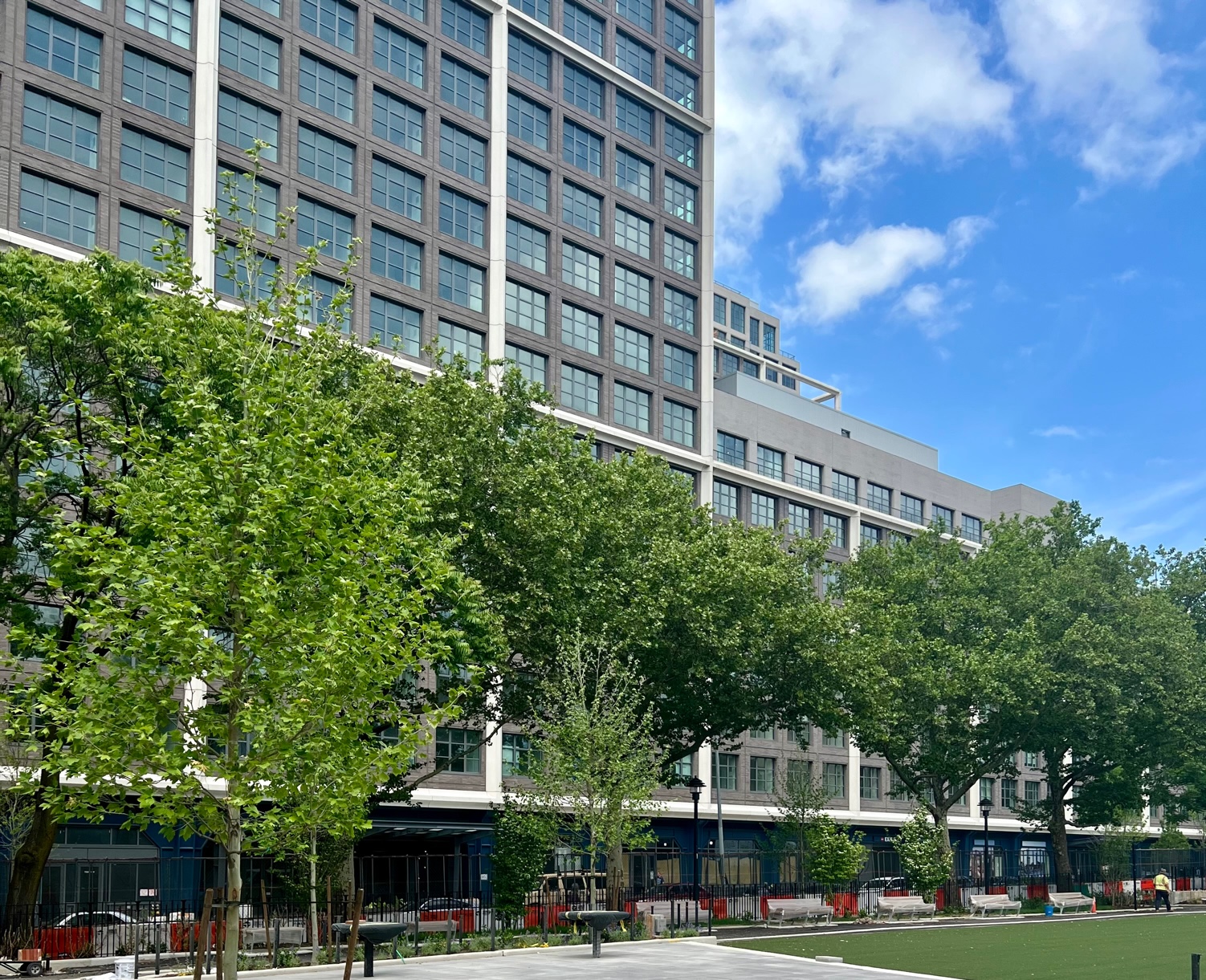 new-restaurant-french-daycare-and-animal-practice-coming-to-dumbo