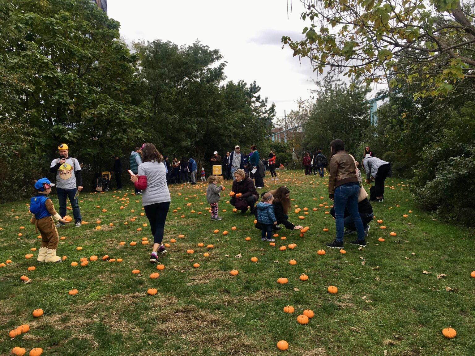 Free Kid friendly Events And Activities This Week In Brooklyn 