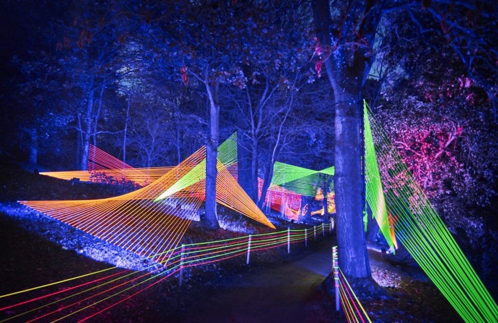 Lightscape returns to Brooklyn Botanic Garden | Brooklyn Bridge Parents ...