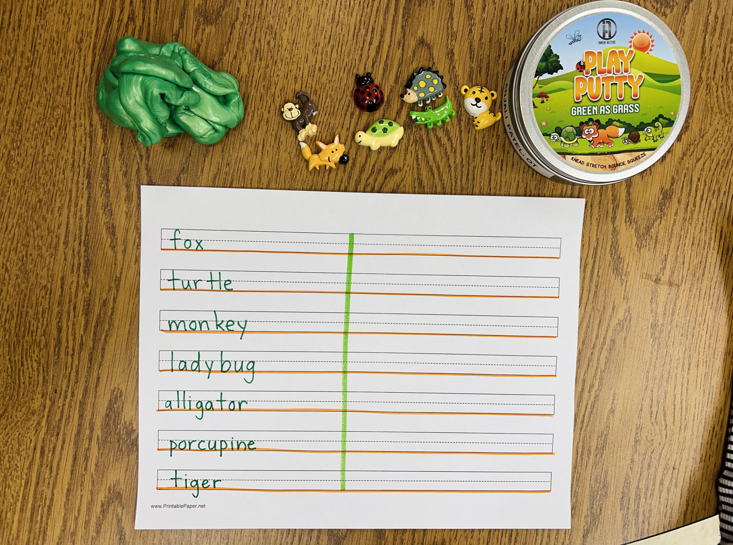 Occupational Therapist