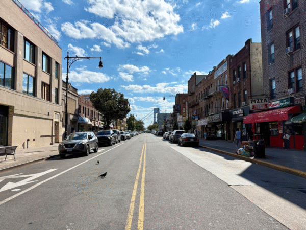 Living in Bay Ridge – a neighborhood guide for families | Brooklyn ...
