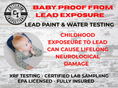 Criterion Inspections