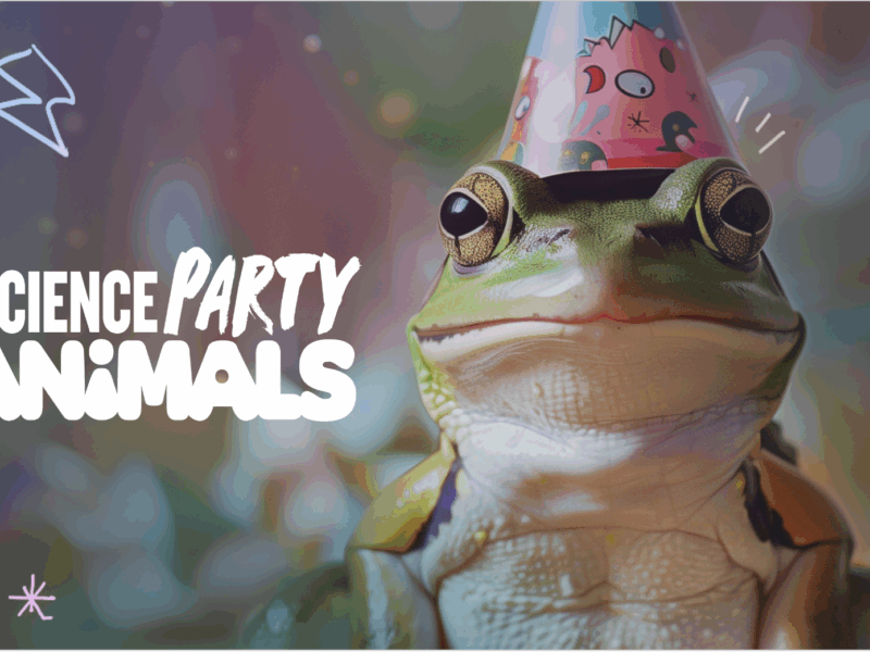 Science Party Animals