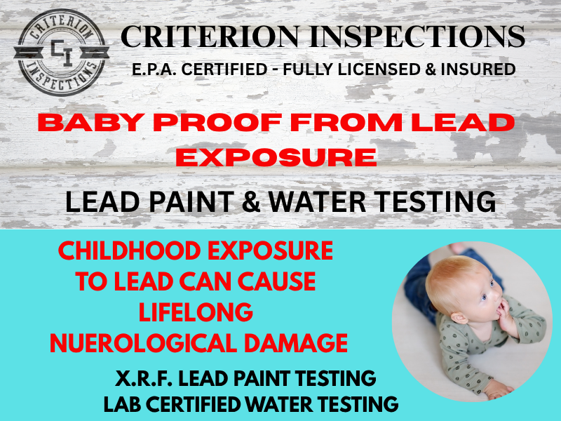 Criterion Inspections