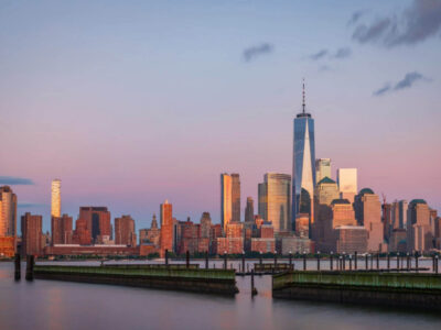 Suburban Jungle Group