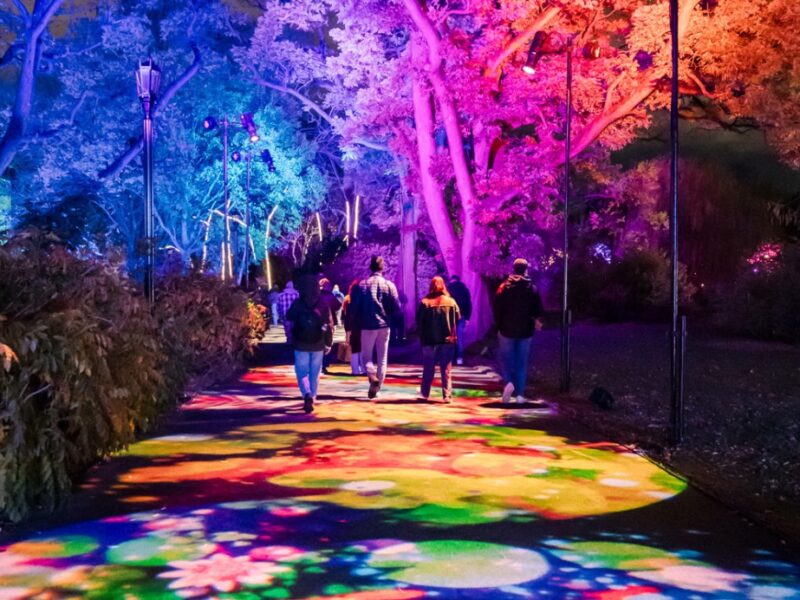 Top 10 November family events in Brooklyn 2026