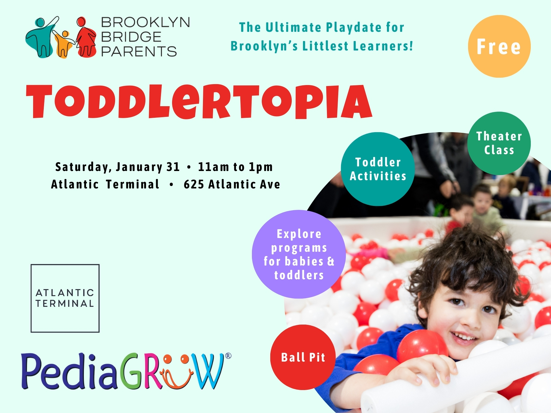 TODDLERTOPIA Bklyn