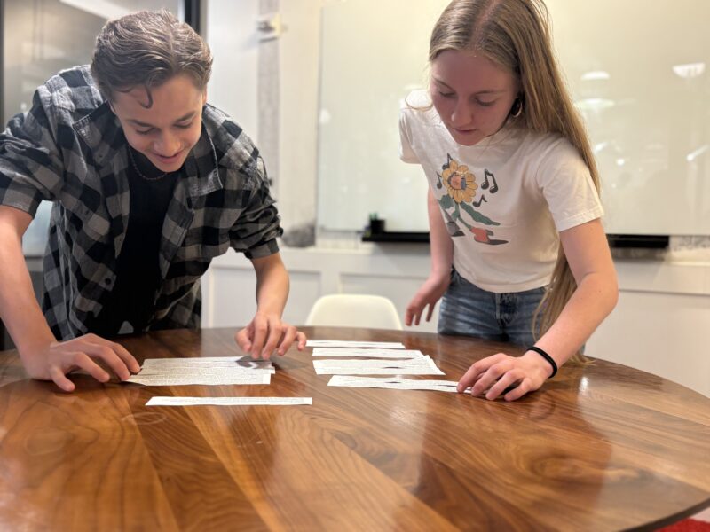 Theresa O'Neill Walsh | The Brooklyn Middle School Collective | Ed-Arts LLC