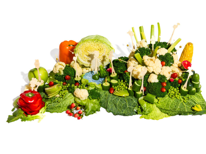 Feeding Young Foodies