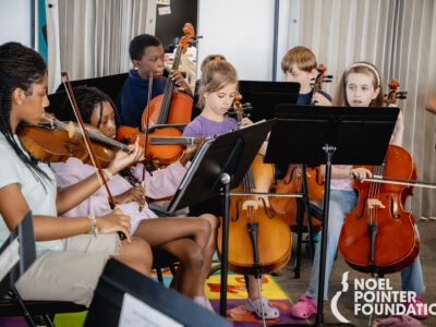 The Noel Pointer Foundation
