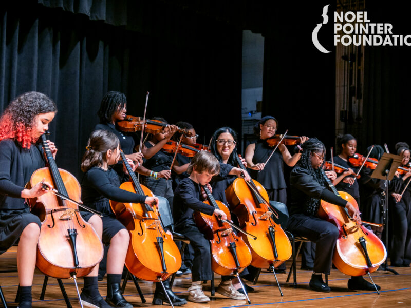 The Noel Pointer Foundation