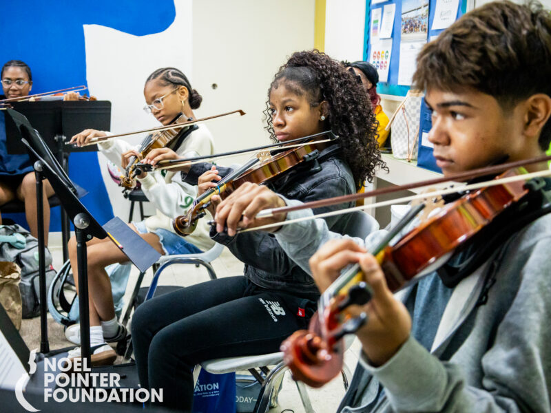 The Noel Pointer Foundation