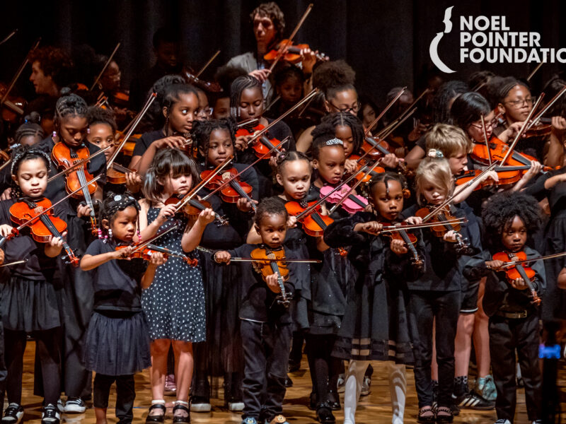 The Noel Pointer Foundation