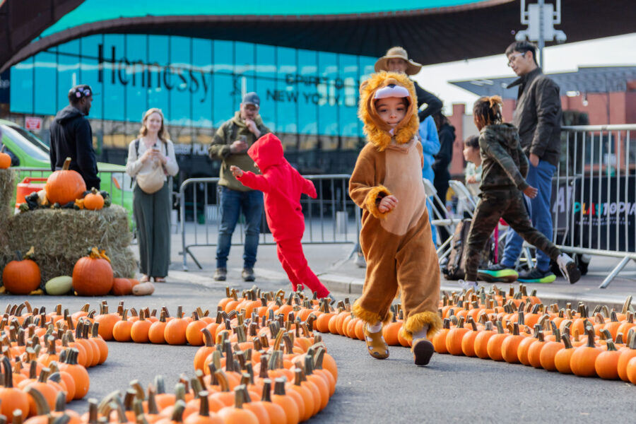 A child in a lion costume runs through rows of mini pumpkins at Fall Fest on the Atlantic Terminal plaza