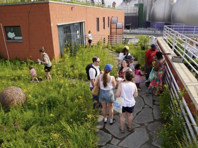 Free kid-friendly events this week in Brooklyn (7/27-8/2)