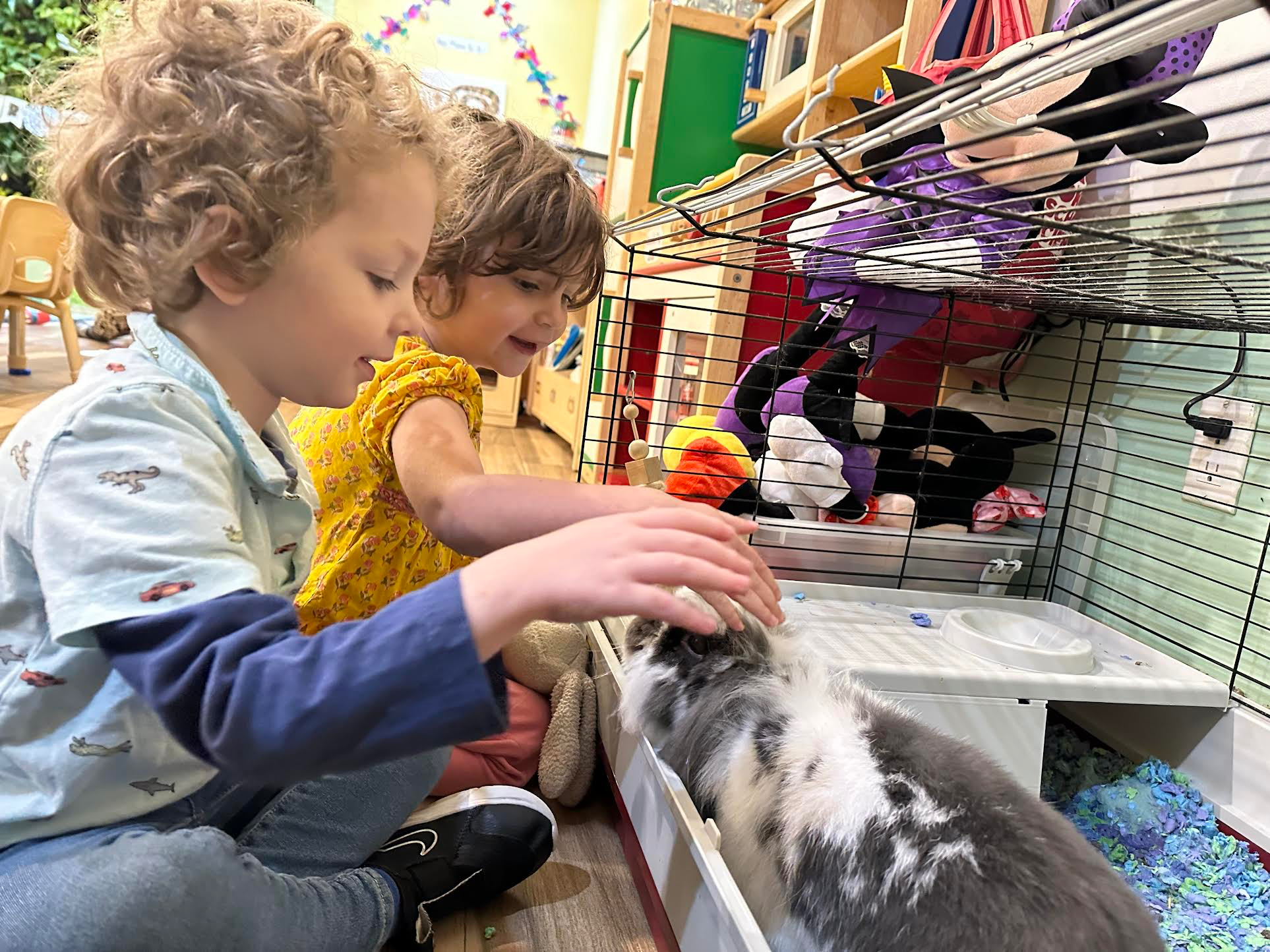 Brooklyn Preschool & Daycare Where Curiosity Becomes Discovery (sponsored)