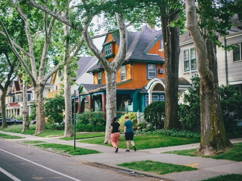 Ditmas Park: A Century of Victorian Character