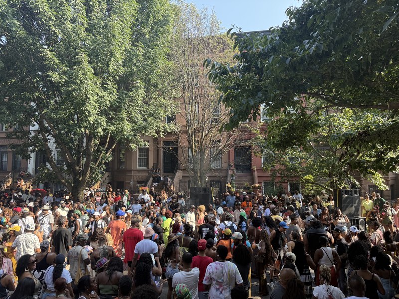 Crowd dancing in the street at a Bed Stuy block party, brownstones and trees behind