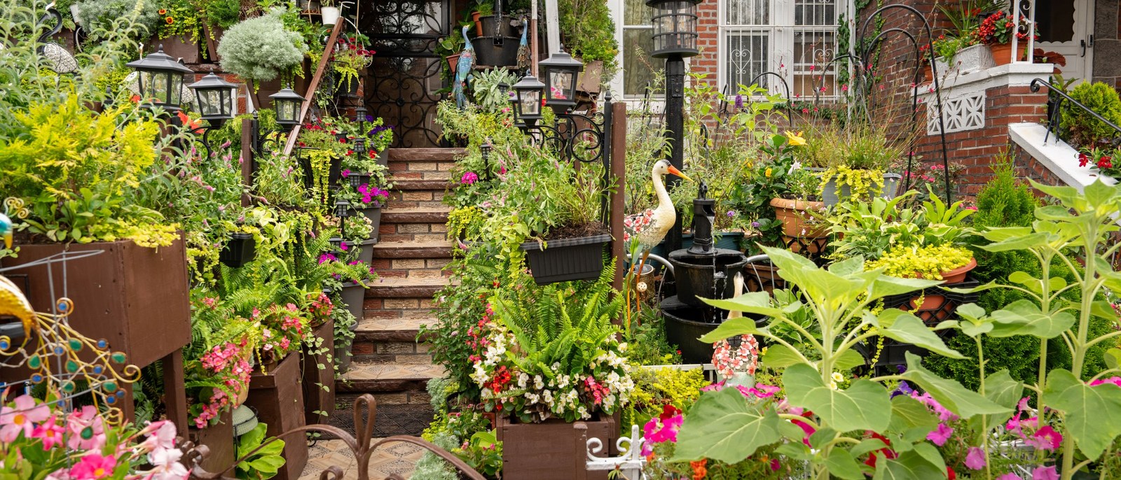 The Week in Brooklyn: August 3–9, 2026