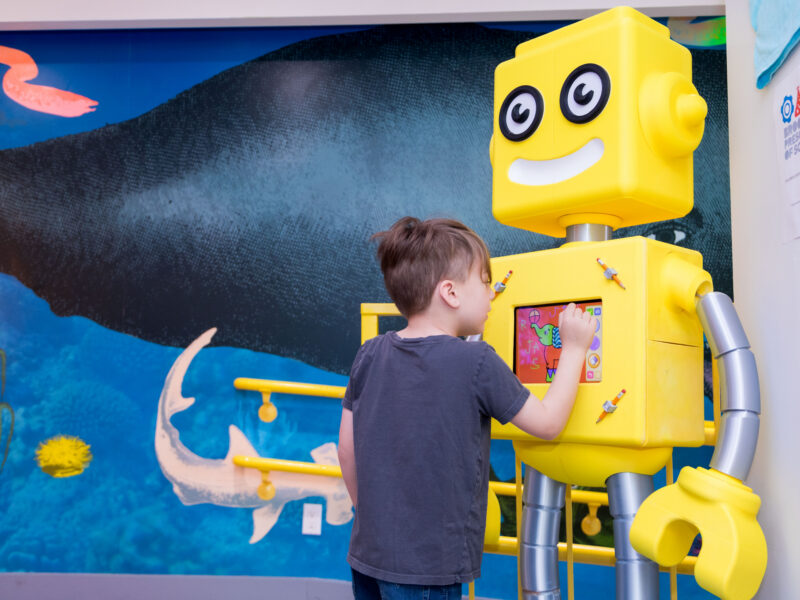 Big Discoveries Start Small: Enroll for 2027–2028 at Brooklyn Preschool of Science (sponsored)