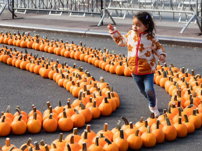 Top 10 October family events in Brooklyn 2026