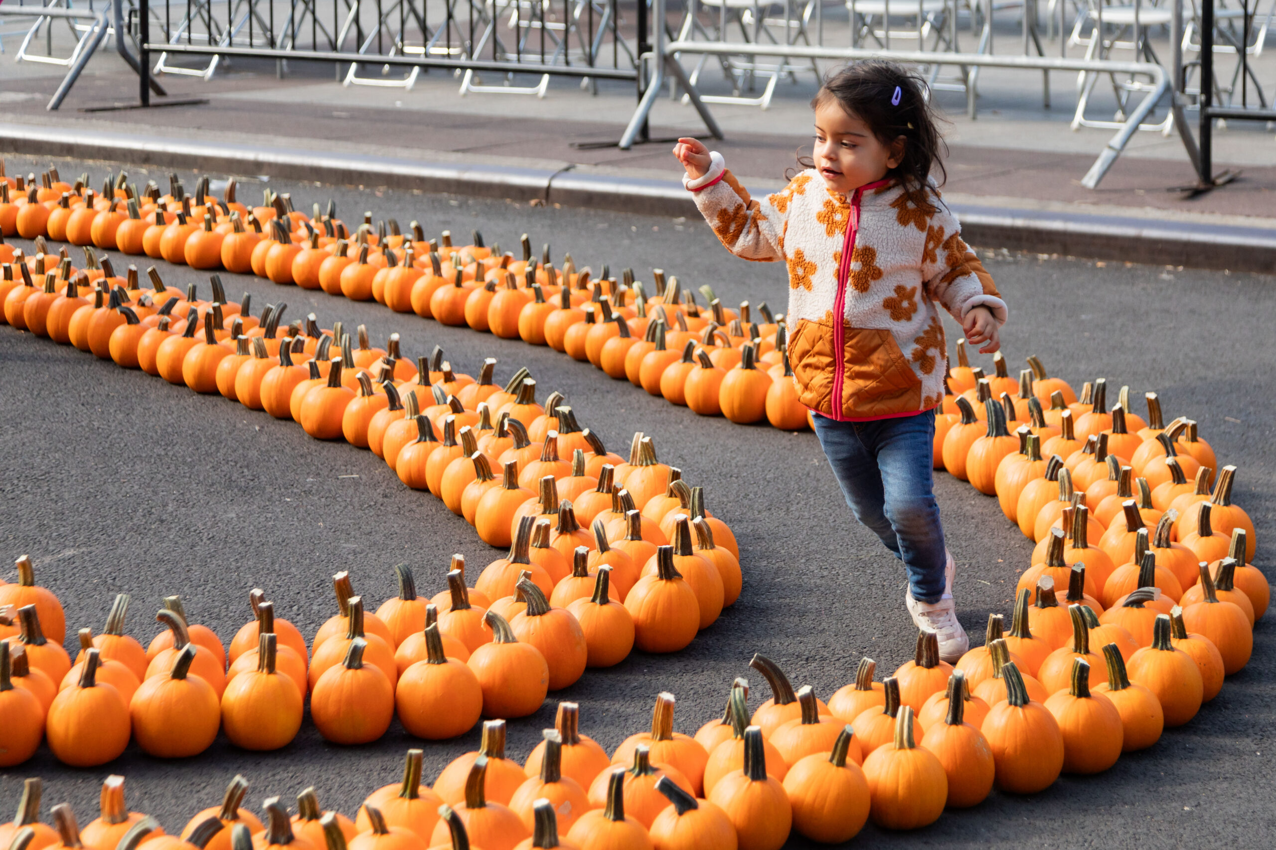 Top 10 October family events in Brooklyn 2026