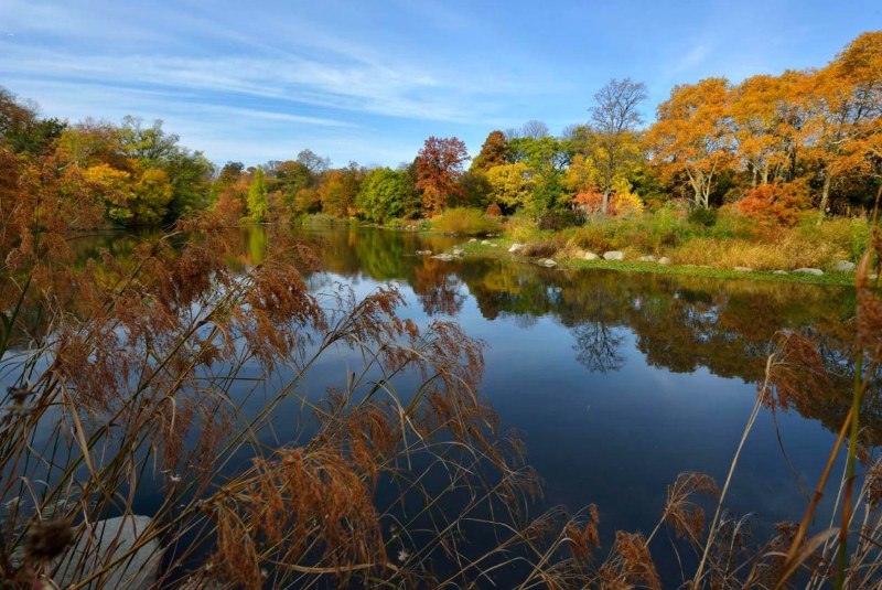 Prospect Park Lake with fall foliage reflected in the water