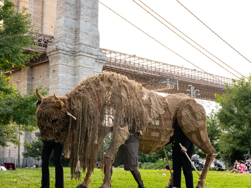 Life-size buffalo puppets from Return of the Buffalo: Tatanka Owe Akupi