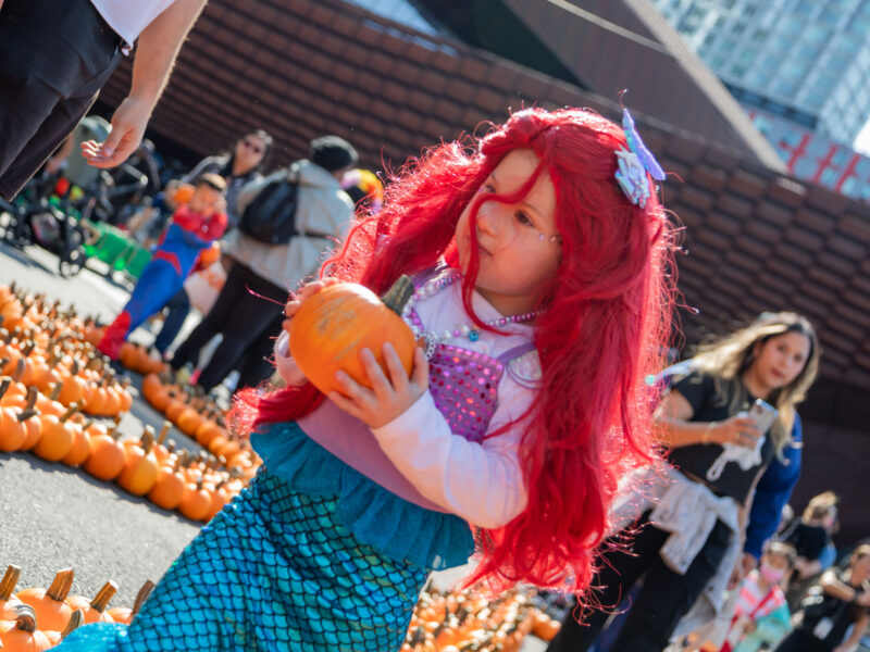 Free kid-friendly events this week in Brooklyn (10/5-10/12)