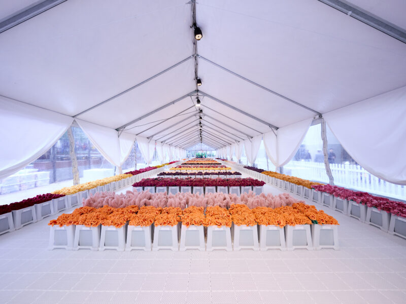 Cj Hendry’s free Flower Market comes to Greenpoint October 17–19