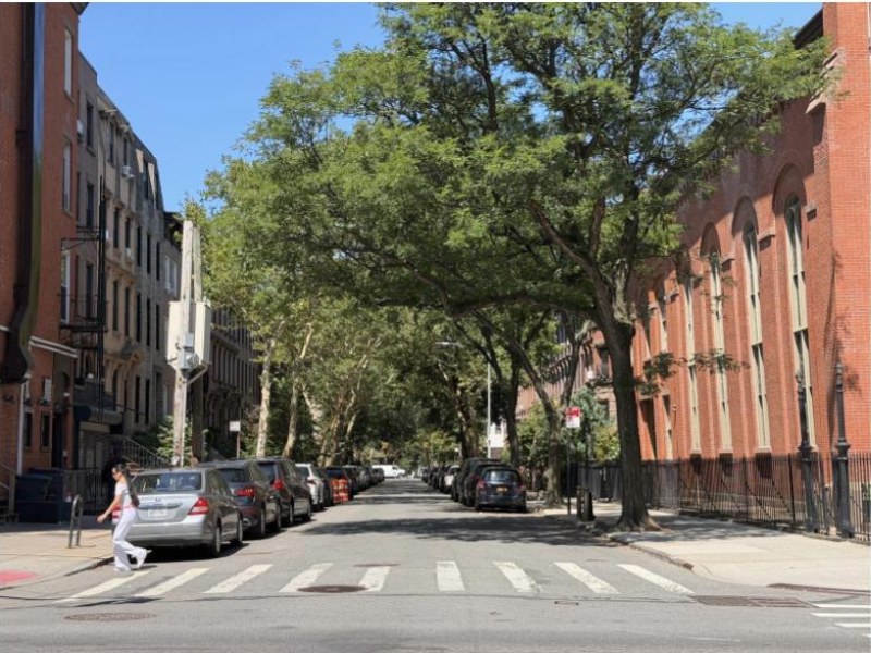 A tree-lined brownstone block in BoCoCa on a sunny day