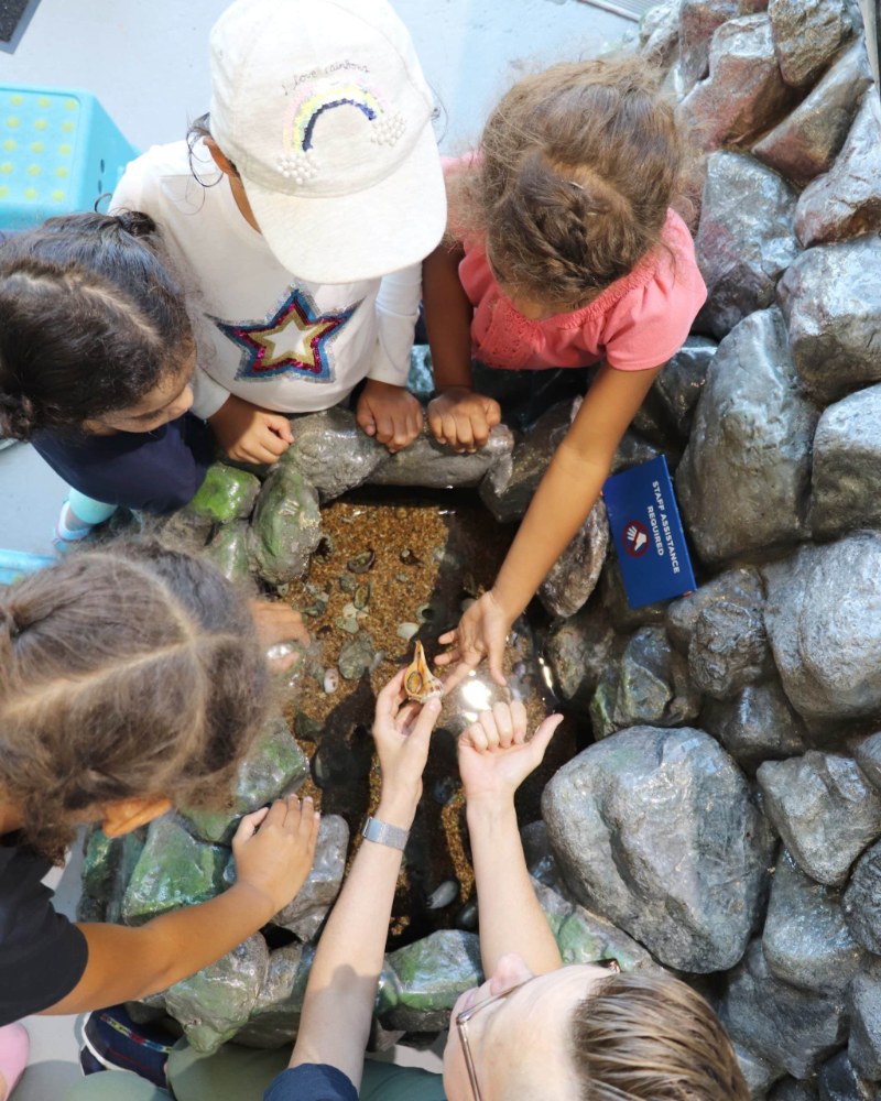 Children at the East River aquarium during open hours at Brooklyn Bridge Park’s Environmental Education Center
