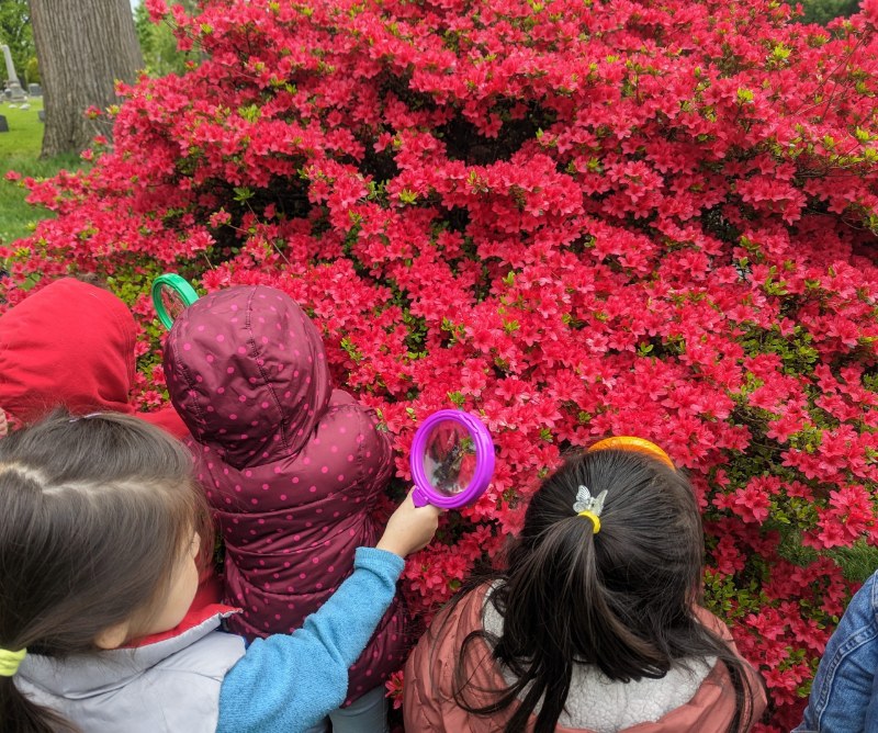 Last Saturdays Open Classroom at Green-Wood’s Green-House