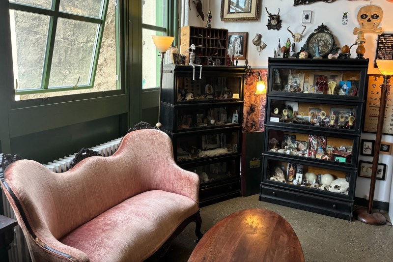 Morbid Anatomy Library
