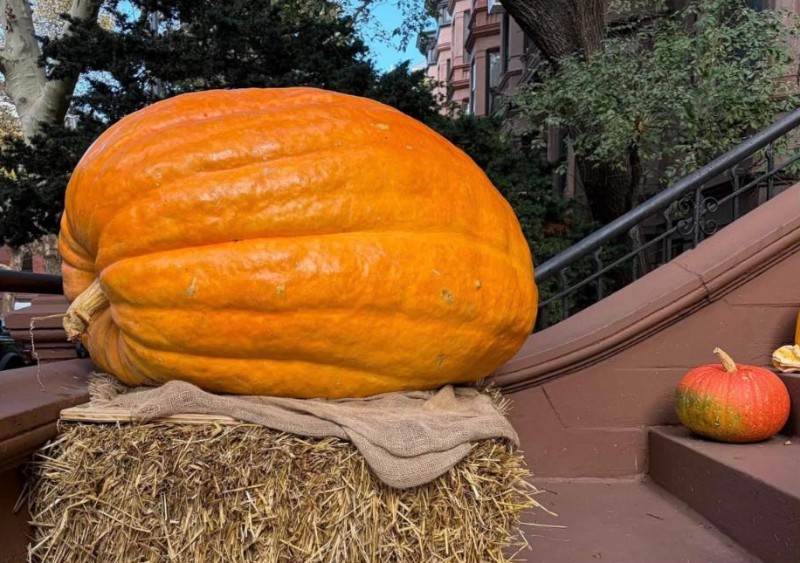 A giant orange pumpkin on a hay bale on a brownstone stoop at 69 Eighth Avenue in Park Slope