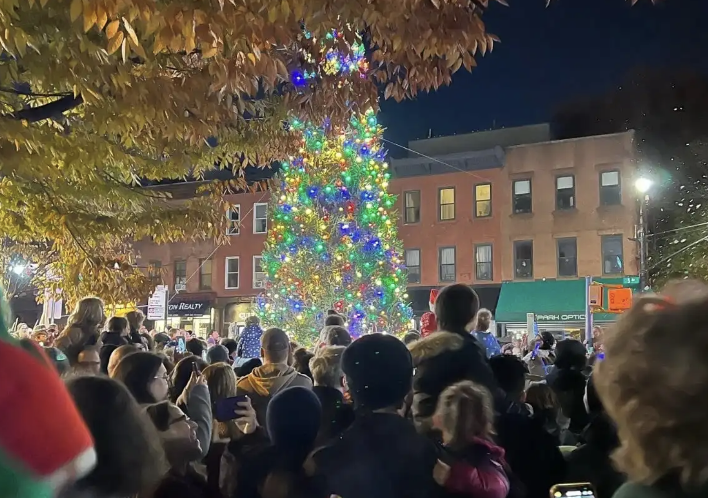 Park Slope Tree Lighting