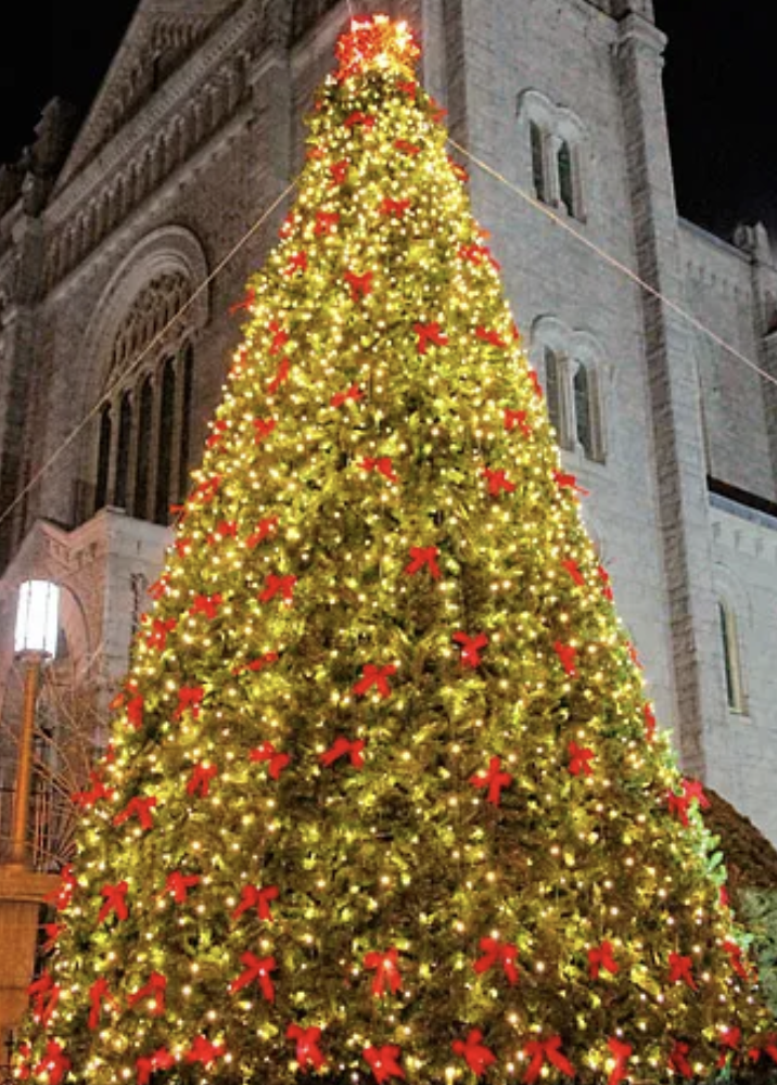 Sunset Park Tree Lighting