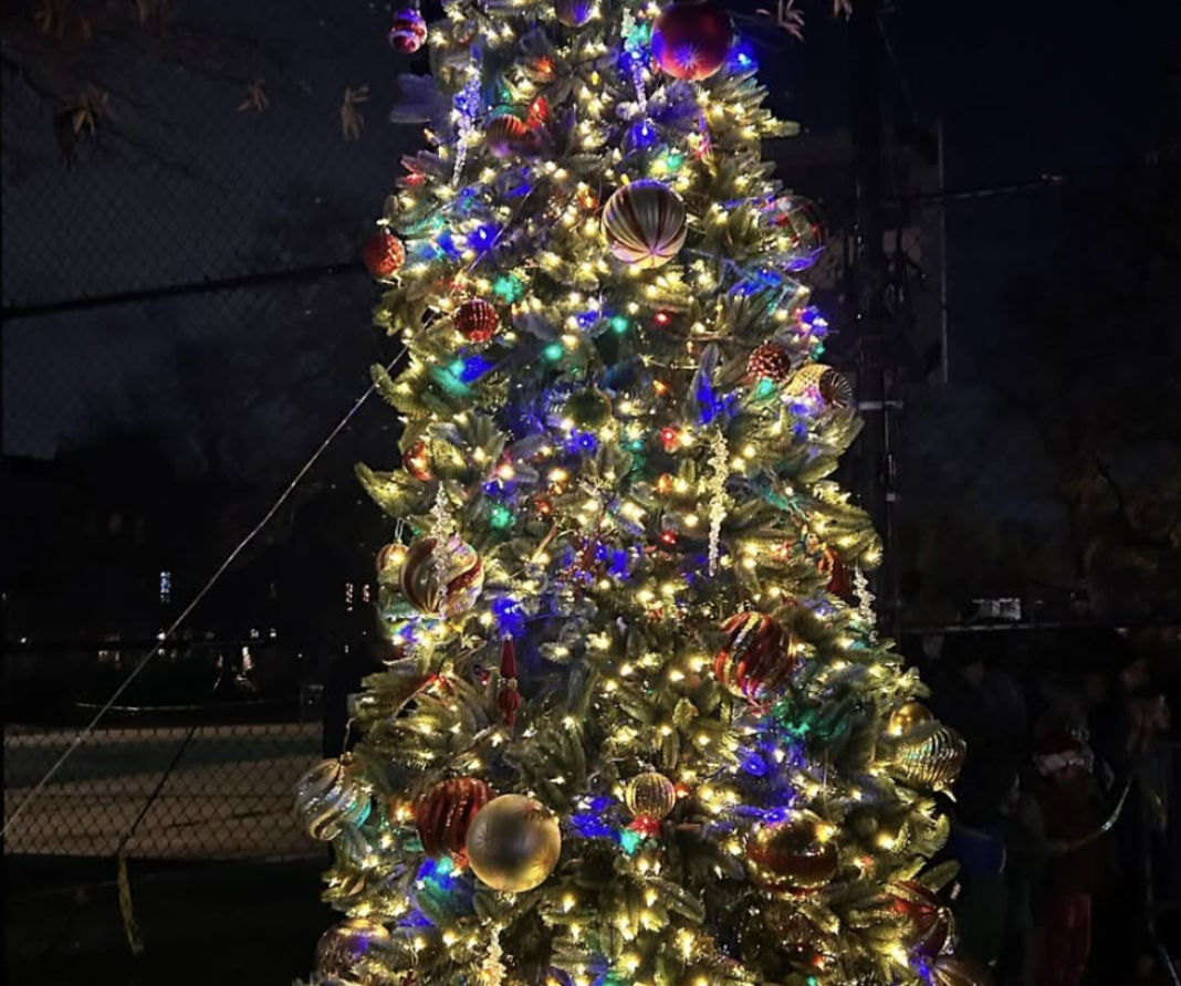 Carroll Park Tree Lighting