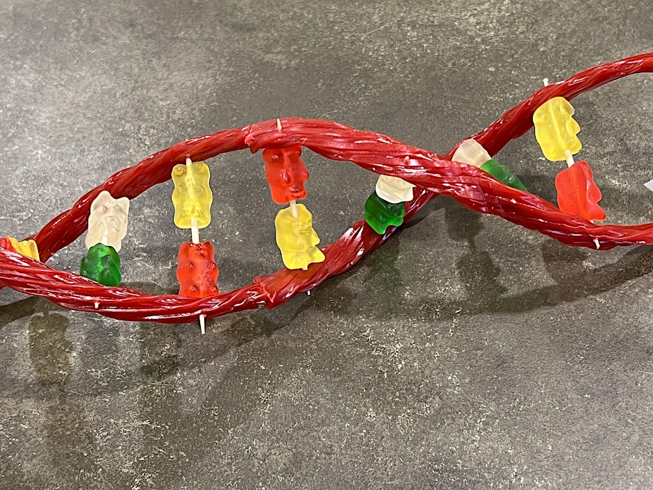 Saturday DNA! Sweet Genes