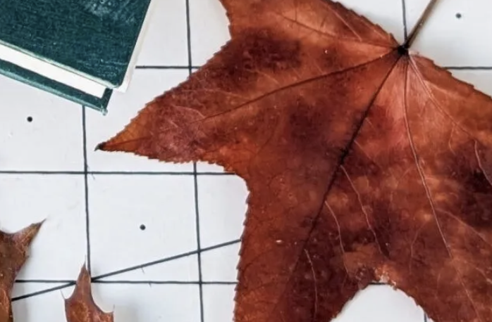 Art Under the Bridge: Make Your Own Lay-Flat Book